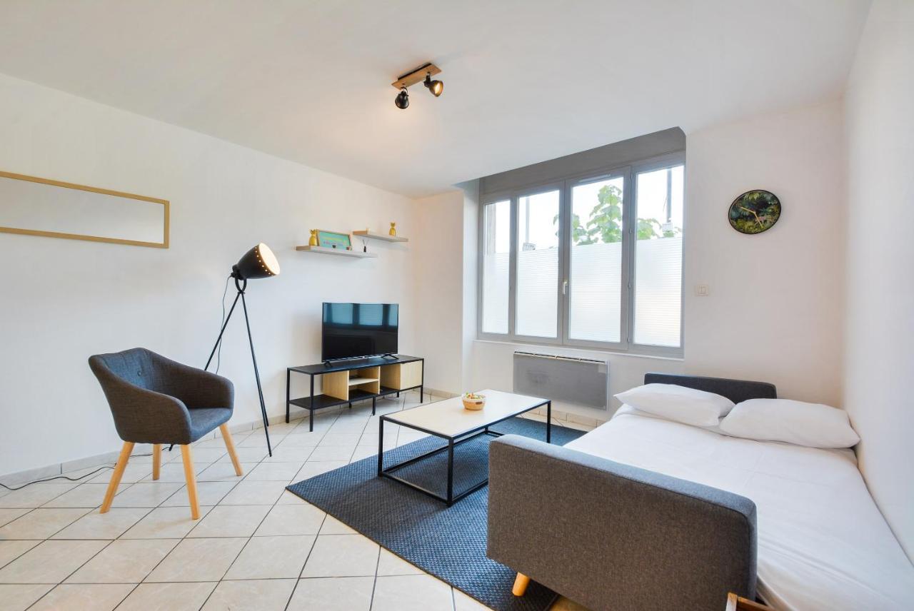 Les Cosy De Nancy La Taniere De La Porte Verte 4Etoiles Екстериор снимка